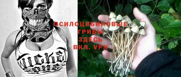 спайс Горнозаводск